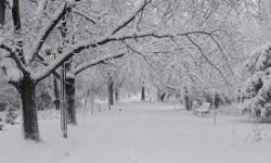 5-декабрга карата өлкө аймагында күтүлгөн аба ырайы