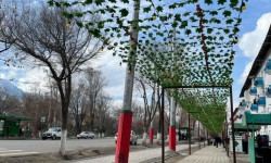 Нарын шаарында жаңы аллея ачылды