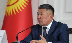 Баткен облусунун башчысы: Чек арада абал тынч