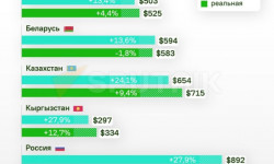 Тажикстандын куралдуу кол салуусунан  жабыркагандардын 298 насыясы жоюлду