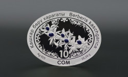 Улуттук банк эки коллекциялык монетаны жүгүртүүгө киргизди