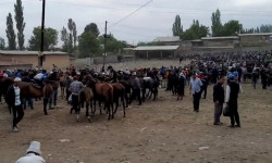 Талапка жооп бербеген мал союучу жайлар жабылууда