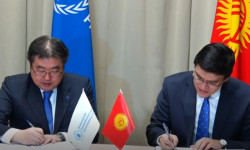 Азык-түлүккө муктаж болгон үй-бүлөлөргө колдоо көрсөтүлөт