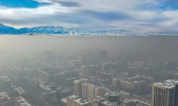 Шаарды каптаган ышка каршы күрөш