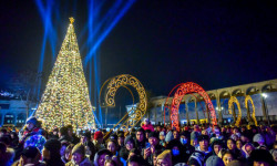 ИИМ: жаңы жыл түнү тынч өттү