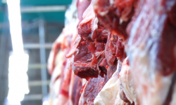 Пенсионерлер үчүн арзан нан. Базардагы баа кандай өзгөрдү?