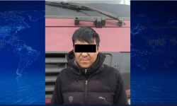 Жөө жүргүнчүнү өлтүрө сүзүп, качып кеткен айдоочу кармалды