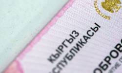 1-февралда патент боюнча иштердеги өзгөрүүлөр күчүнө кирет