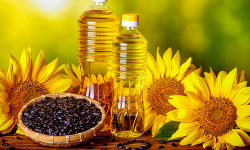 Бишкекте арзан май сатылууда