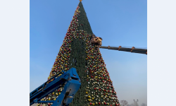 Бишкектеги башкы балатыны жыйноо иштери башталды