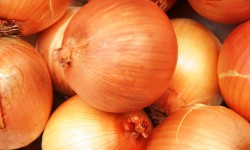 Пайдалуу кеңештер: Пияздын кабыгы       (аудио)