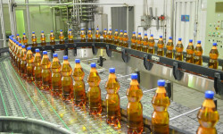 Кыргызстанда сыра продукциясы маркалана баштады