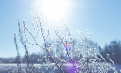 Кыргызстанда бир жумага карата аба ырайы