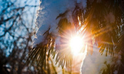 25-январда Кыргызстанда күтүлгөн аба ырайы тууралуу маалымат