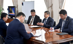 Өзбекстандын президентинин мамлекеттик сапары башталат