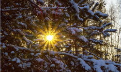 3-февралга чейин Кыргызстанда күтүлгөн аба ырайы тууралуу маалымат