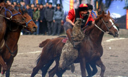 Бишкекте мамлекеттик жана маданият кызматкерлери арасында көк бөрү боюнча турнир өтөт