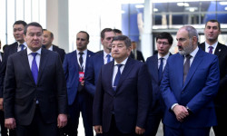 Кыргызстан кайсы тармакта Борбор Азия өлкөлөрүн кызыктырат?