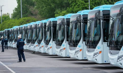 Ош мэриясы жаңы автобус линияларына айдоочуларды кабыл алуу жарыялады