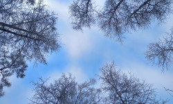 15-февралга чейин Кыргызстанда күтүлгөн аба ырайы 