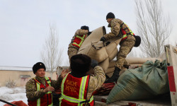 Түркияга куткаруучулар жана боз үйлөр жөнөтүлдү