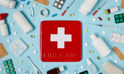 ДССУ Түркия менен Сирияга 109 тонна дары-дармек жөнөттү