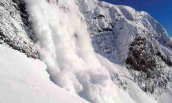 Тогуз-торо: көчкү астында калган жаран каза болду