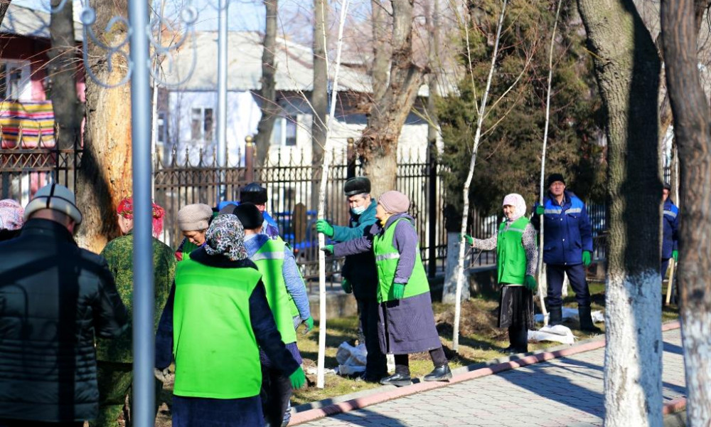 В Оше в этом году планируют посадить более 30 тысяч.саженцев деревьев