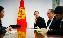 Абдрахматова АКШ элчиси менен Кыргызстандагы адам укуктарынын сакталышын талкуулады 