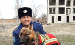 Түркияда катуу иштеген Чагылган