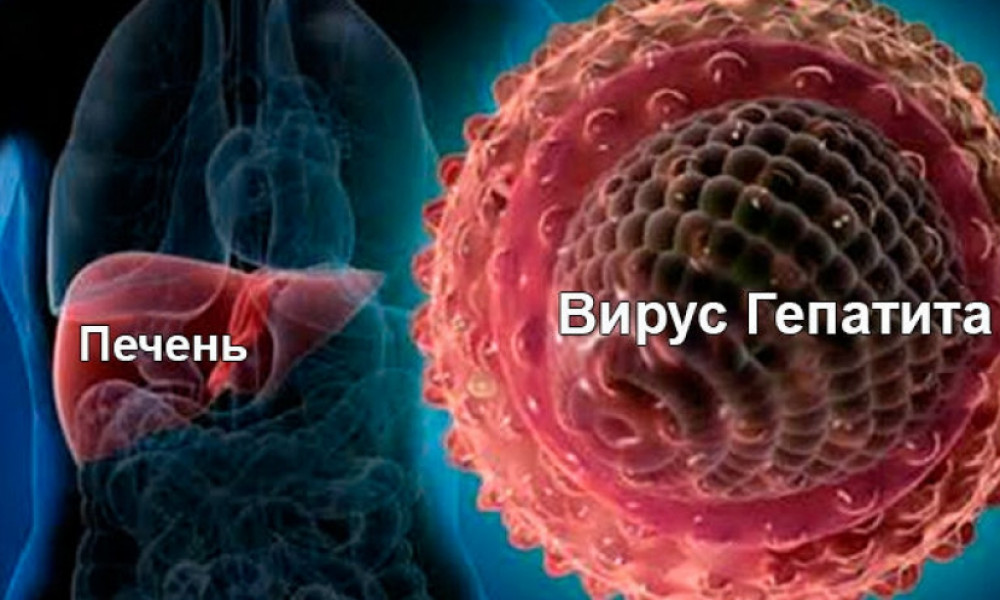 Стартовала программа бесплатного лечения гепатита В и С 