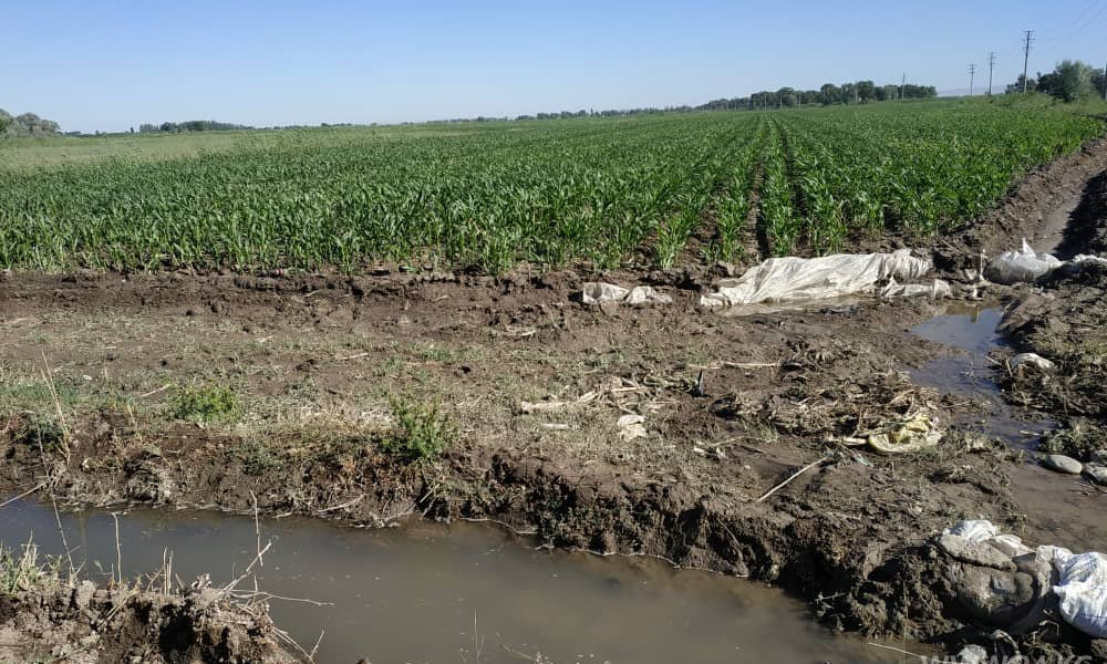 В Лейлекском районе Баткенской области не будет проблем с поливной водой