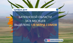 Минфин: Баткенской области за 8 месяцев выделено 1,18 млрд сомов