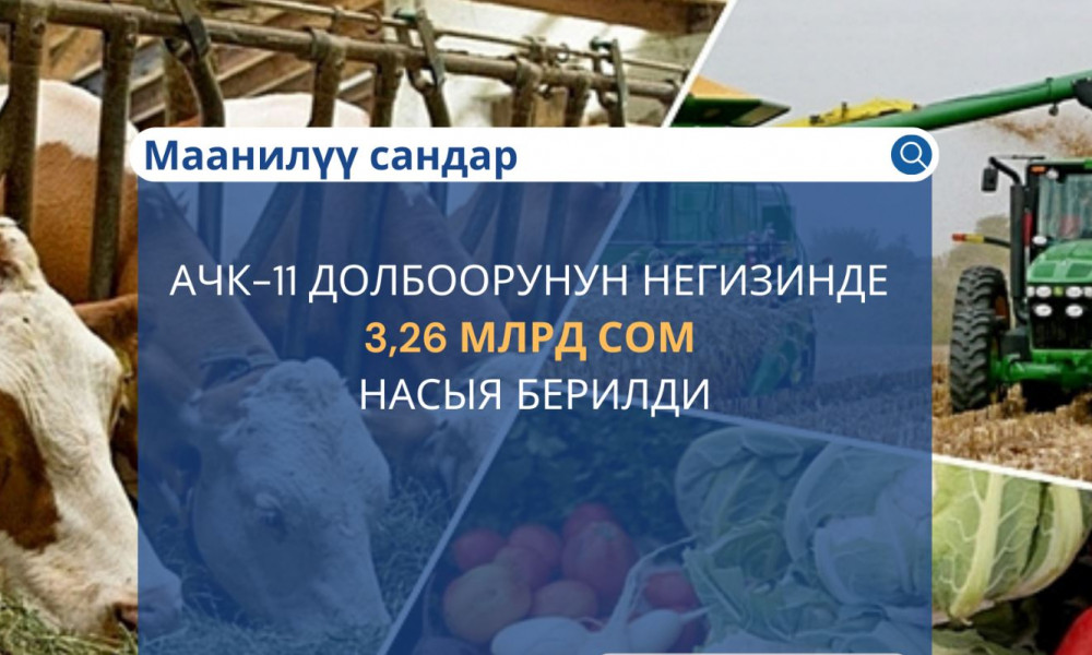 “Айыл чарбасын каржылоо” долбоорунун негизинде 3,26 млрд сом кредит берилди