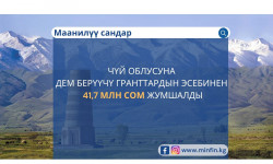 Чүй облусуна дем берүүчү гранттардын эсебинен 41,7 млн сом жумшалды