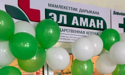 Кыргызстан боюнча 80ге жакын мамлекеттик дарыкана ачуу пландалууда