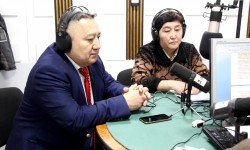 Организация Объединённых Наций по промышленному развитию 