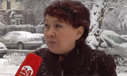 Мыйзамсыз көмүр саткандар арбыды