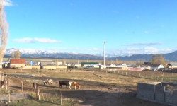 В Джалал-Абадской области произошло землетрясение 