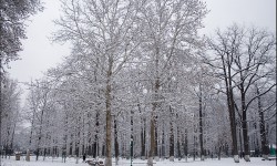 Понижение температуры возможно до -18-ти градусов