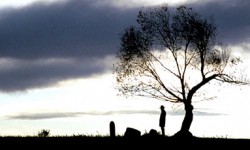 Бейпил түн: Атам тиккен дарак (аудио)