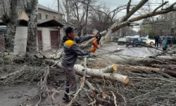 В трех областях Кыргызстана из-за сильного ветра пострадали 154 объекта