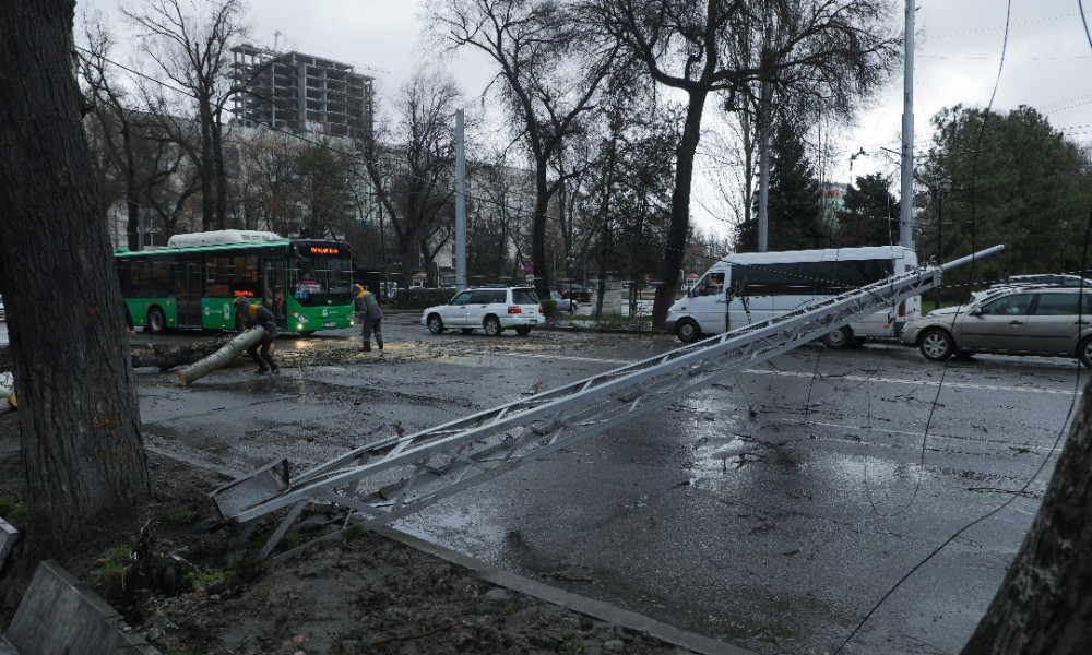 Бишкекте 11 мектеп, 8 бала бакча катуу шамалдан зыян тартты