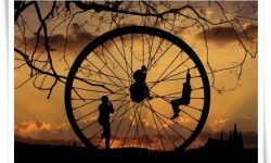 Бейпил түн: Көр тирлик турмуш агымы (аудио)