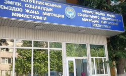 Эми айлыкты кечиктирген иш берүүчү кошумча туум төлөйт