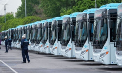 Бишкекте автобустарга беш жүздөй айдоочу керек
