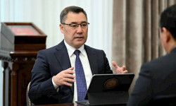 Сот чечимине кийлигишпейбиз. Президент Кой-Таш окуясы боюнча сот өкүмүнө пикирин билдирди