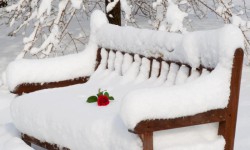 Кар бетине кат жаздым... (аудио)