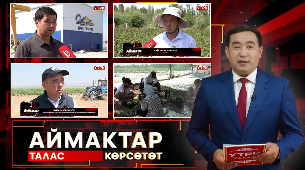 Талас көрсөтөт // АЙМАКТАР // 11.08.2025