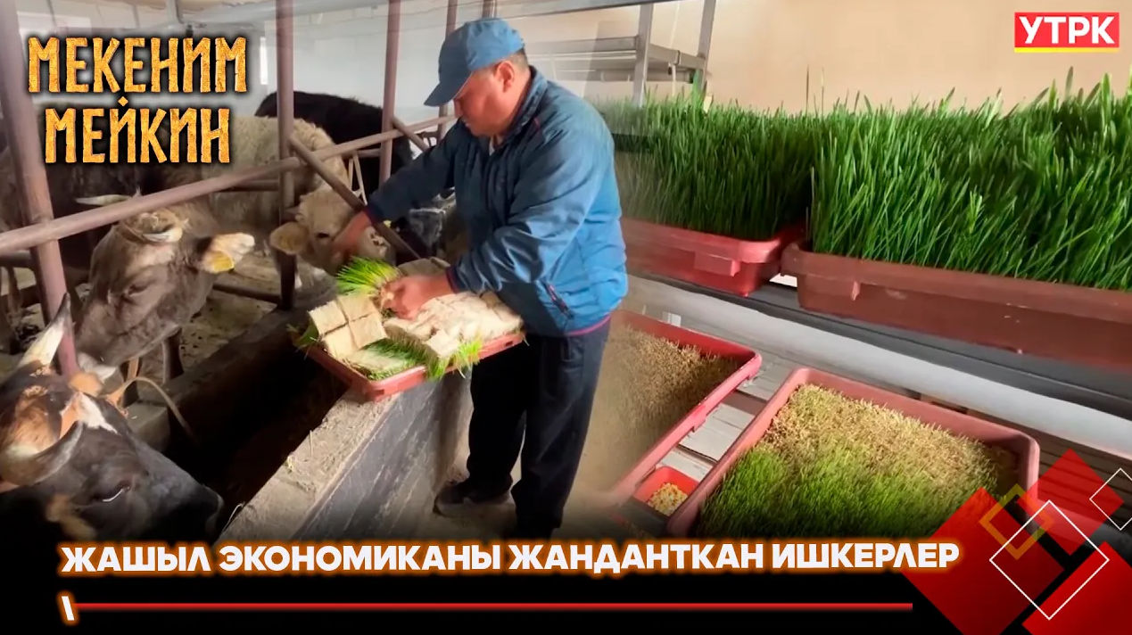 Жашыл экономиканы жанданткан ишкерлер